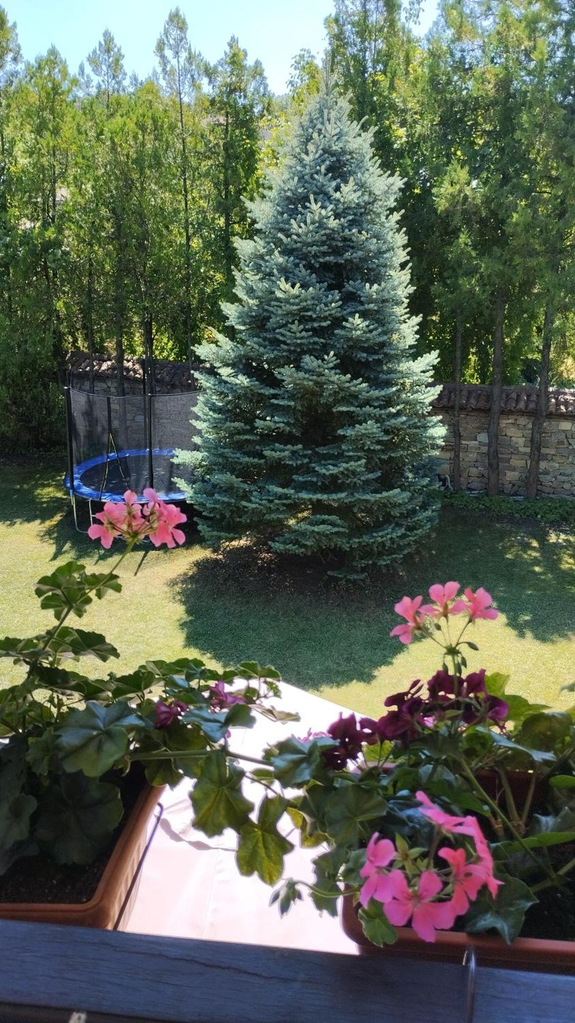 Vila Гери2 Arbanasi Exteriér fotografie